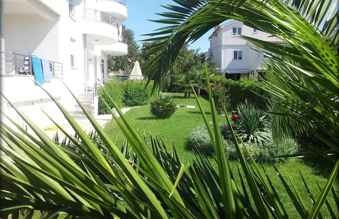 Luxury Apartments Zana-1