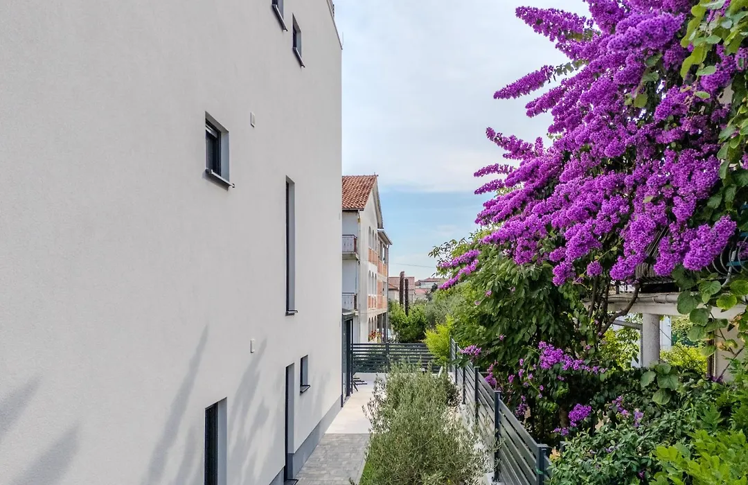 Villa Aurea-1