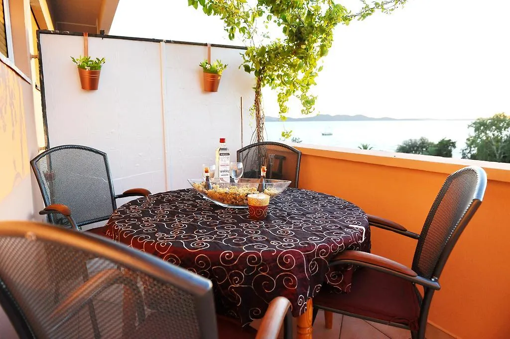 Zadar Dream-1