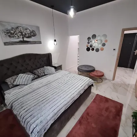 Premium Class Apartmant - Free Parking-3