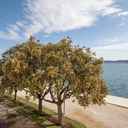 Mona Lisa'S View In Zadar Old Town-2