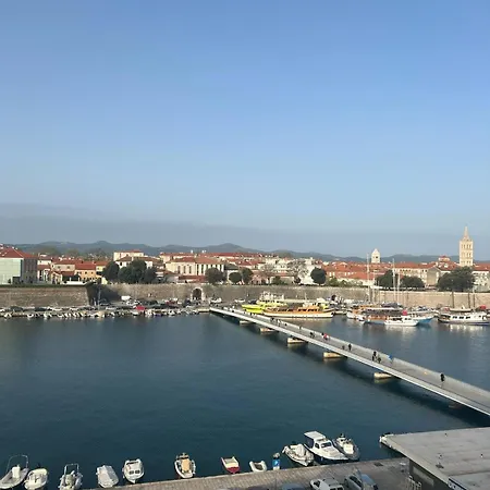 The View-3
