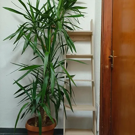 Rooms & Apartment Hegic With Parking-3