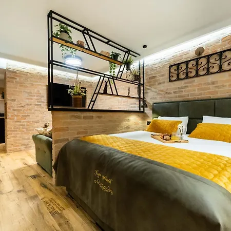 Deluxe Dino Room & Studio Apartment-2