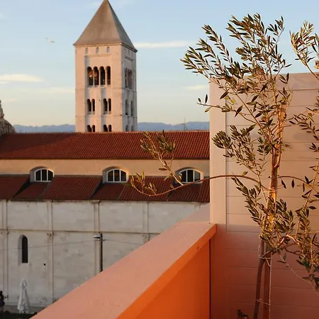 Zadar Dream-2