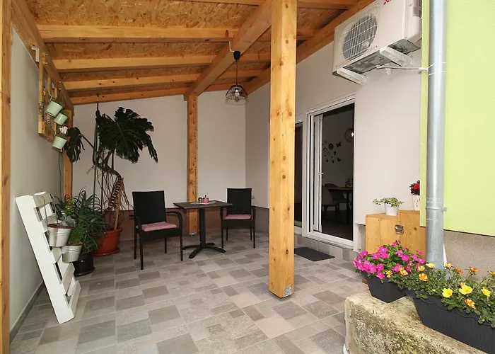 Viola Zadar