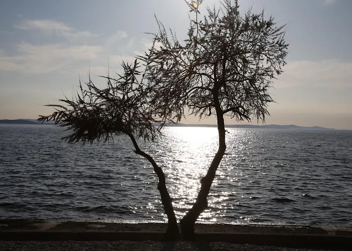 Villa Punta Zadar