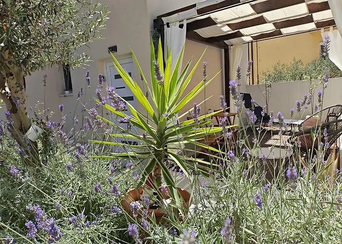 Olea Premium Rooms Zadar
