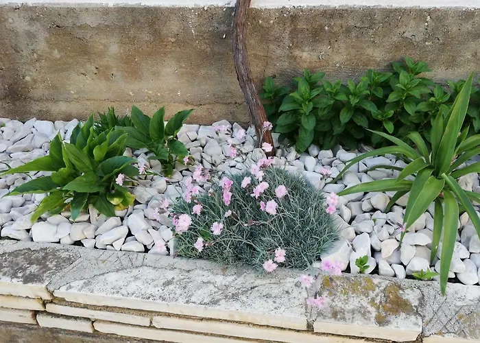 Apartman 1 Zadar