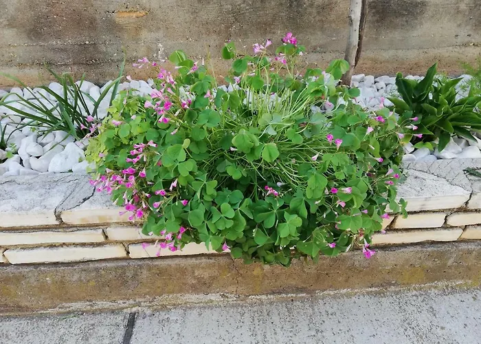 Apartman 1 Zadar